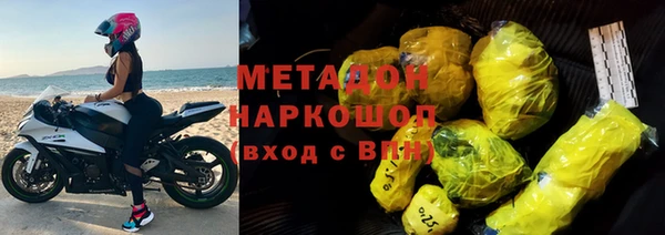 гашик Алексин