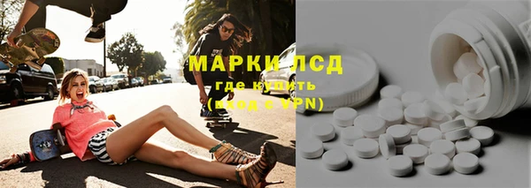 гашик Алексин