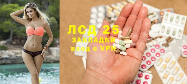 гашик Алексин