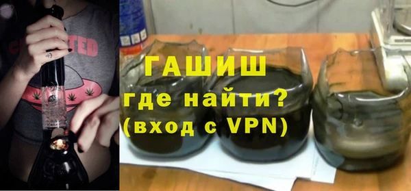 гашик Алексин