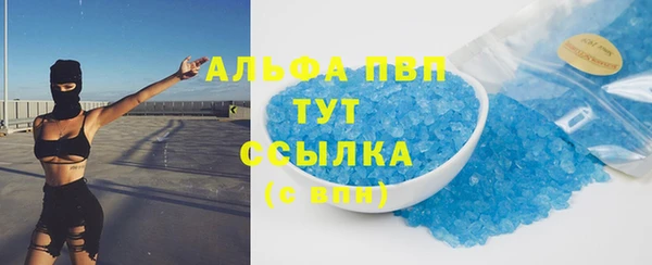 гашик Алексин