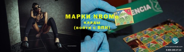 гашик Алексин