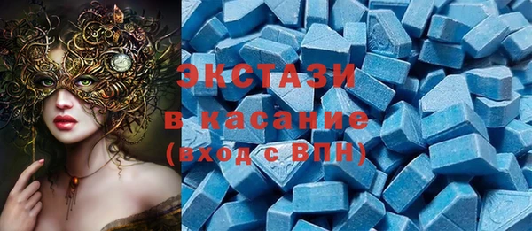 гашик Алексин