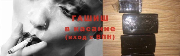 гашик Алексин