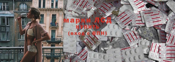 spice Алзамай