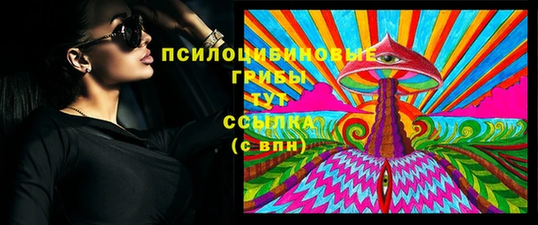 гашик Алексин