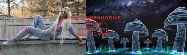 spice Алзамай