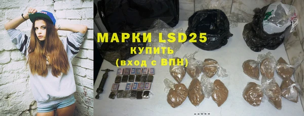гашик Алексин