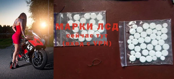 гашик Алексин