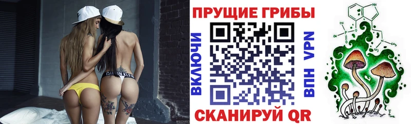 Псилоцибиновые грибы Psilocybe ссылка на мегу ТОР Талица